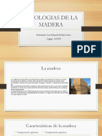 Patologias de La Madera PDF