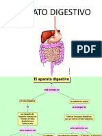 Aparato digestivo - Toma de muestra - Jennifer López..pptx