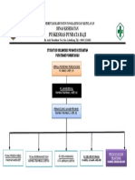 Struktur Terbaru Promkes
