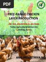 Egg Ventures PH Layer Poultry Guide 3rd Edition | PDF