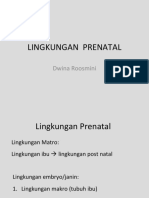 6 Lingk. Prenatal