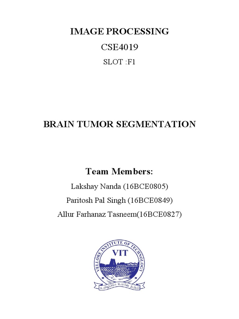 Automatic Brain Tumor Segmentation | PDF | Image Segmentation | Brain Tumor