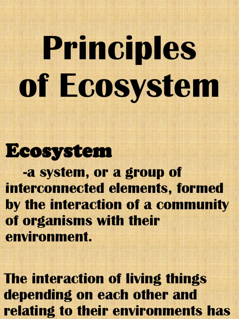 Principles of Ecosystem Dynamics | PDF | Ecosystem | Natural Environment