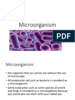 Microorganism