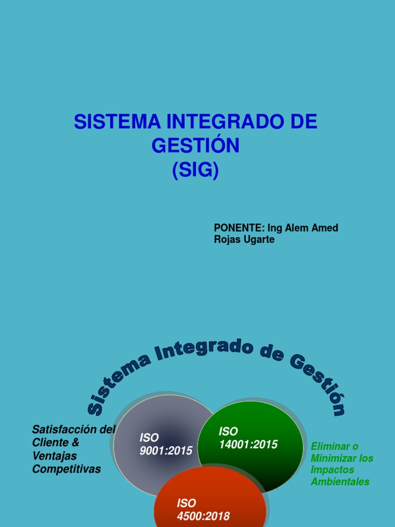 Sistema Integrado Gestion | PDF | Gestión de la calidad | Calidad ...