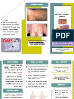 Leaflet Scabies 