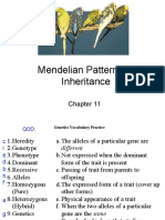 CH 11 Mendelian Patterns of Inheritance