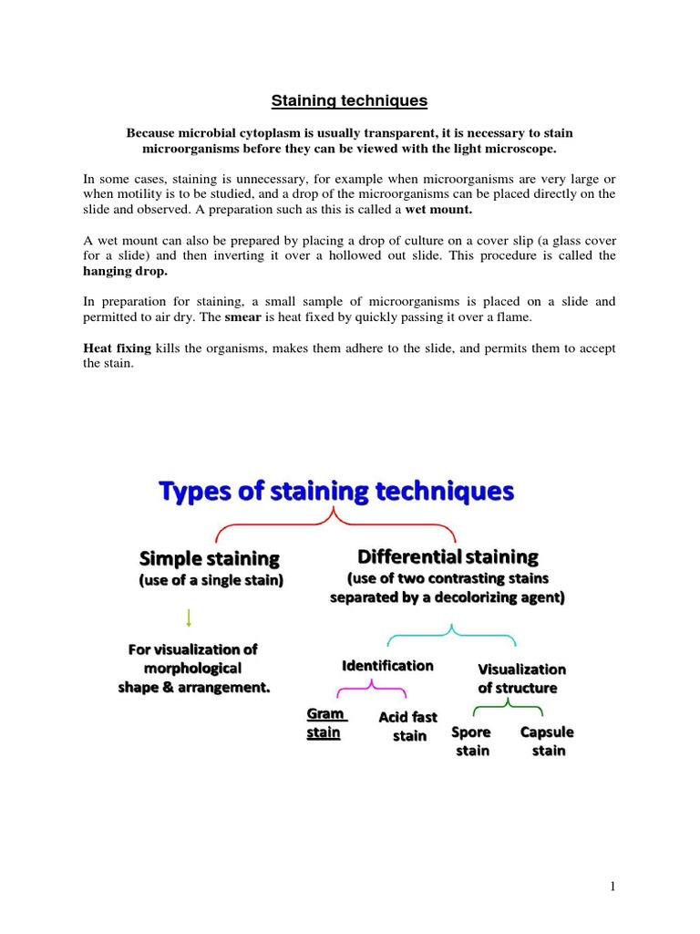 Microbiology Staining Techniques Overview | PDF | Staining | Gram ...