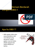 298849840-Penyuluhan-DBD.pptx