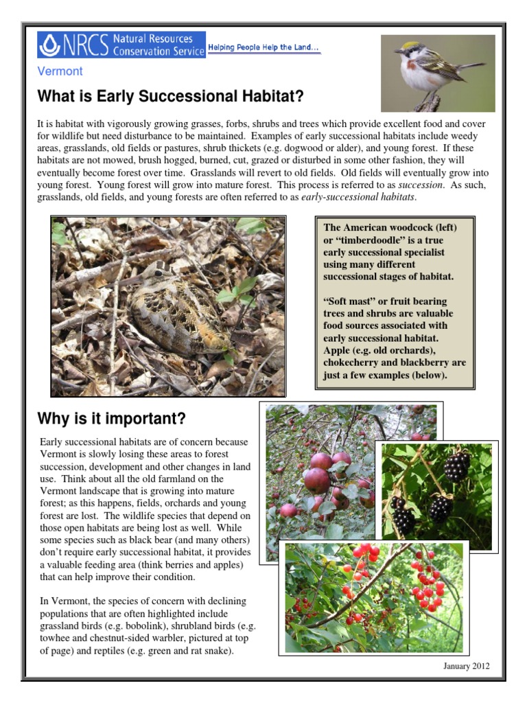 Early Successional Info Sheet 2012 | PDF | Natural Resources ...