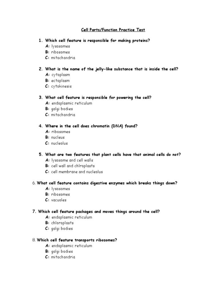Cell Parts Practice Quiz | Pdf | Endoplasmic Reticulum | Cell (Biology)