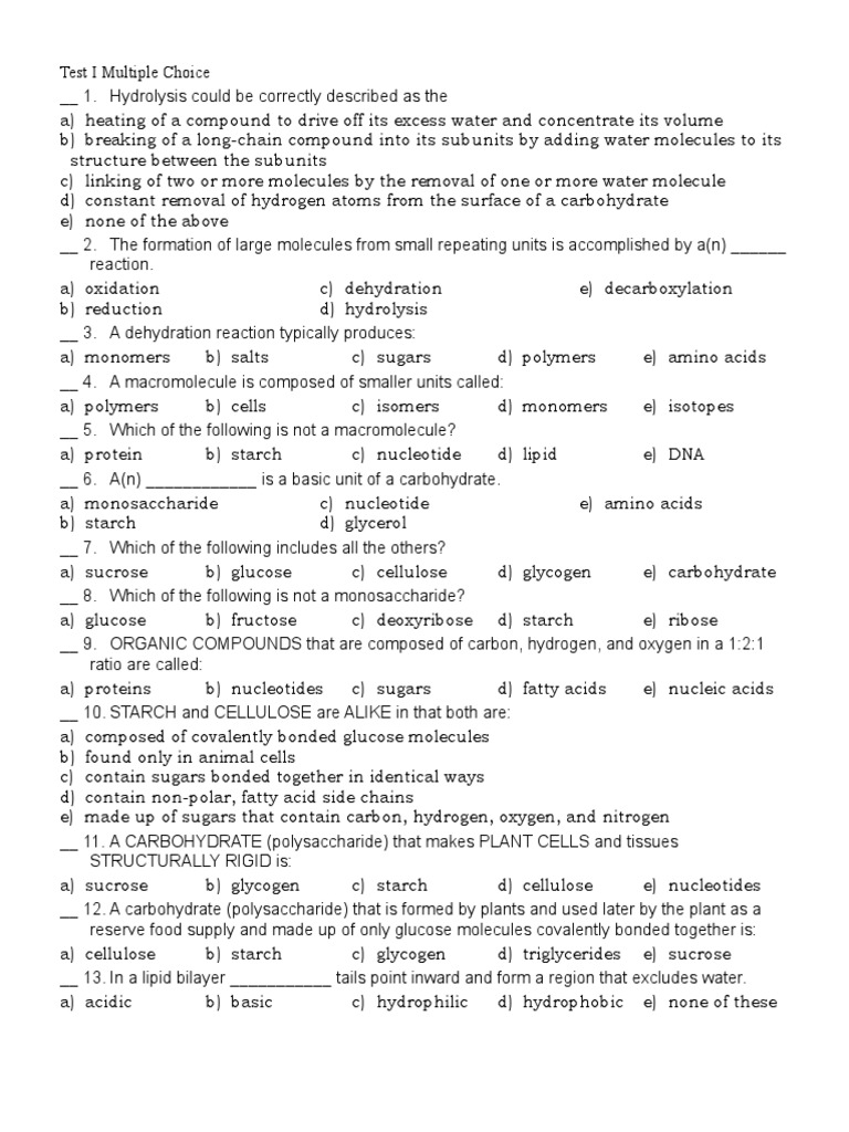 Nucleic Acid Worksheet PDF Carbohydrates Lipid