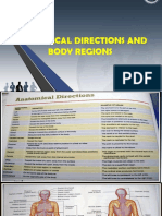 Anatomical Directions and Body Regions