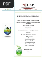 Procesos Alumina Completo