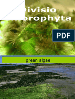 3 - CHLOROPHYTA Edited