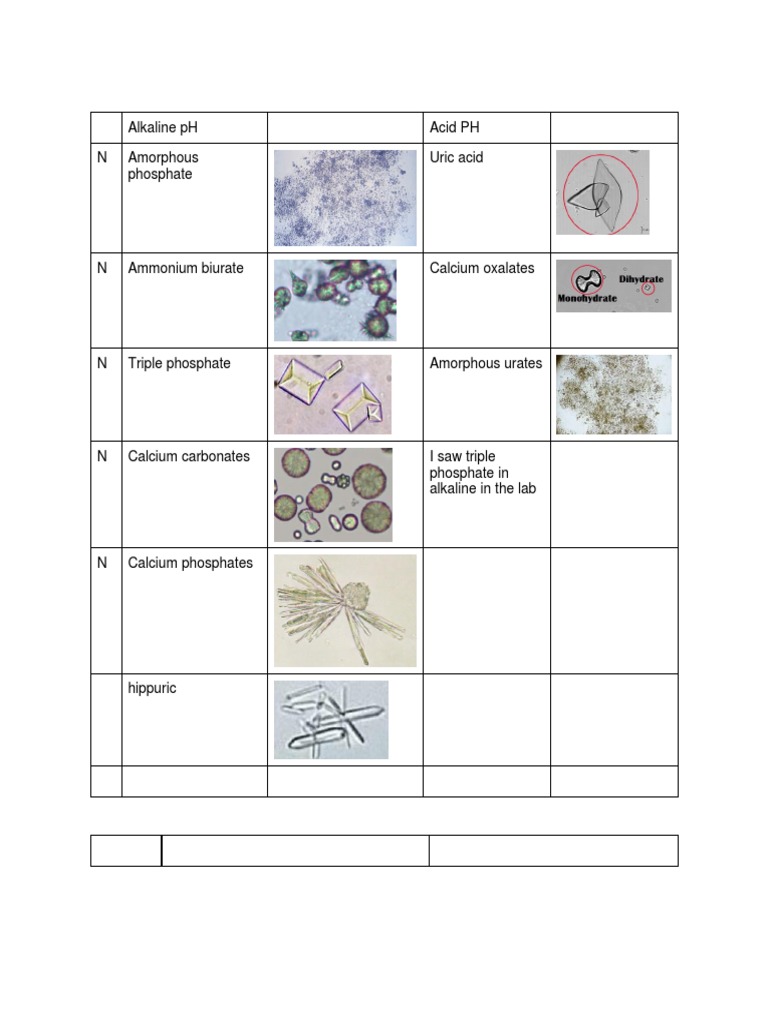 Alkaline PH Acid PH N Amorphous Phosphate Uric Acid | PDF | Cooking ...