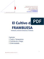 El Cultivo de La Frambuesa