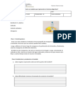 Cómo Construir Un Modelo Que Represente El Sistema Digestivo. Guia