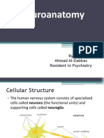 Neuroanatomy: by Ahmad Al-Dabbas Resident in Psychiatry
