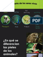 Lacubiertadelosanimales