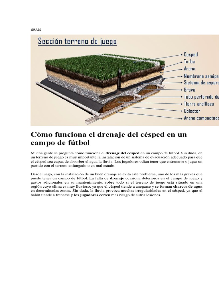 Cómo funciona el drenaje del césped en un campo de fútbol: Grass