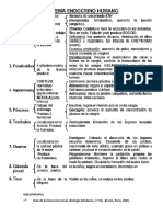 Sistema Endocrino Humano Foto