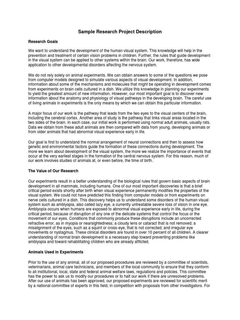 Understanding Human Visual System Development | PDF | Visual System | Brain