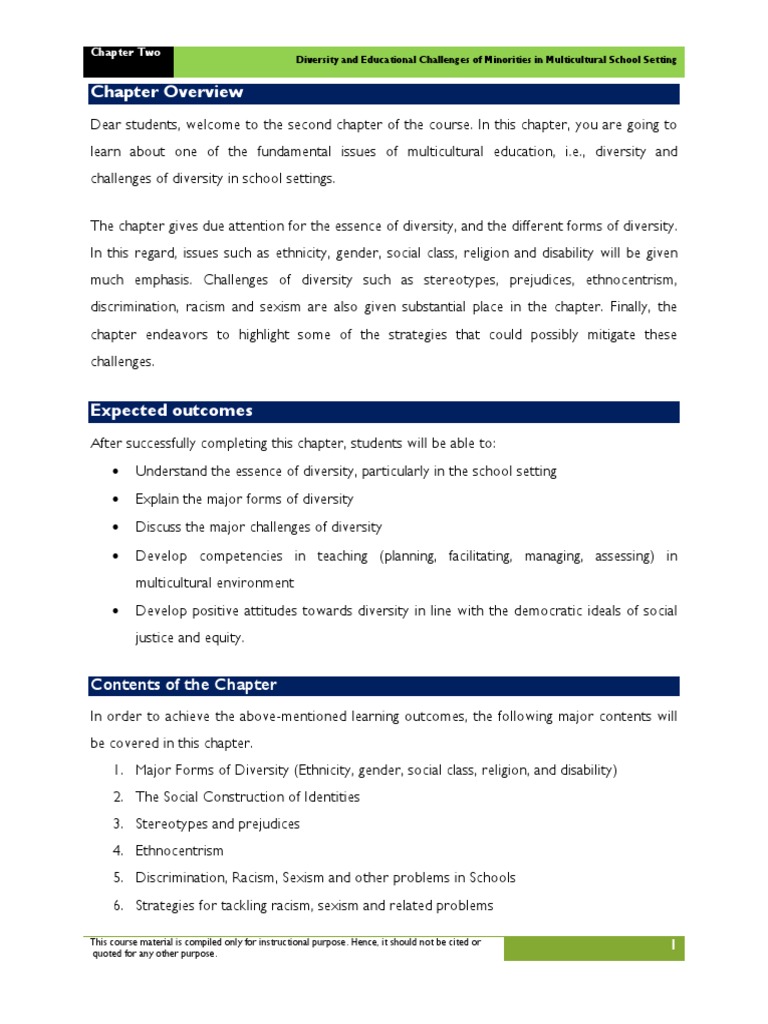 Diversity Challenges in Multicultural Education | PDF | Prejudices ...