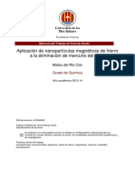 Aplicación de nanopartículas magnéticas de hierro.pdf