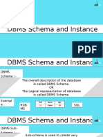 DBMS Schema & Instance