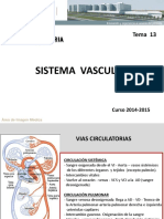 Sistema Vascular PDF