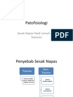 Mekanisme Sesak Napas Sianosis Dan Nadi Lemah