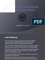 BUDIDAYA IKAN LELE TERPAL