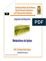 Bioquimica Clase 12 Metabolismo Lipidos