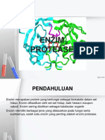 Protease 