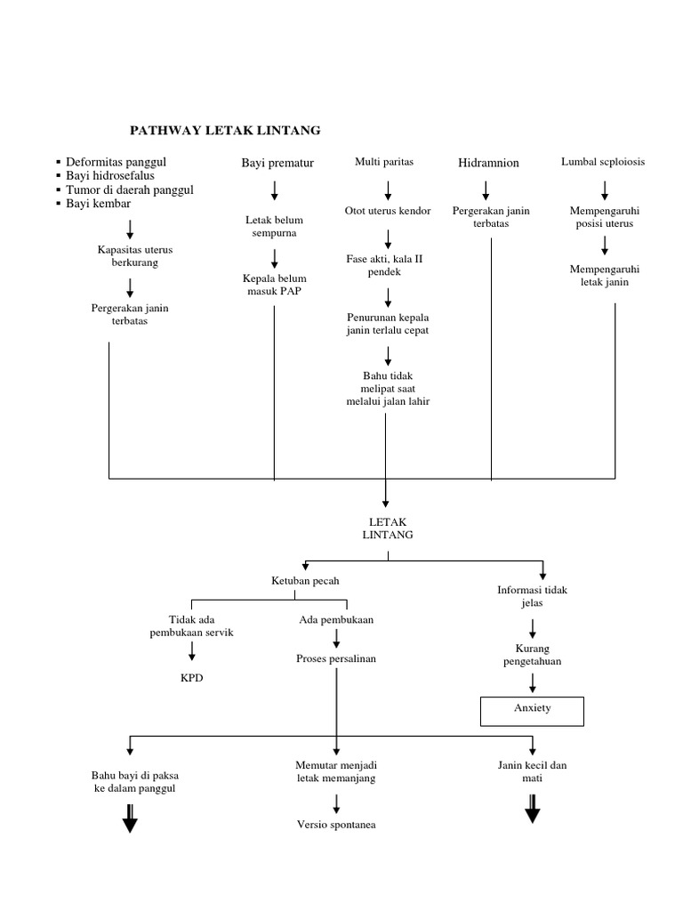 Pathway Letak Lintang | PDF