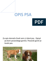 Opis Psa