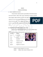 Bab Ii PDF