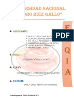 272091337-Elaboracion-Del-Chorizo-Informe.docx