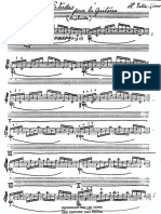 IMSLP273548-PMLP224198-HVL-Estudos-MS.pdf