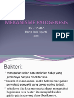 Mekanisme Patogenesis