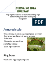 Pagpuksa NG Mga Kulisap