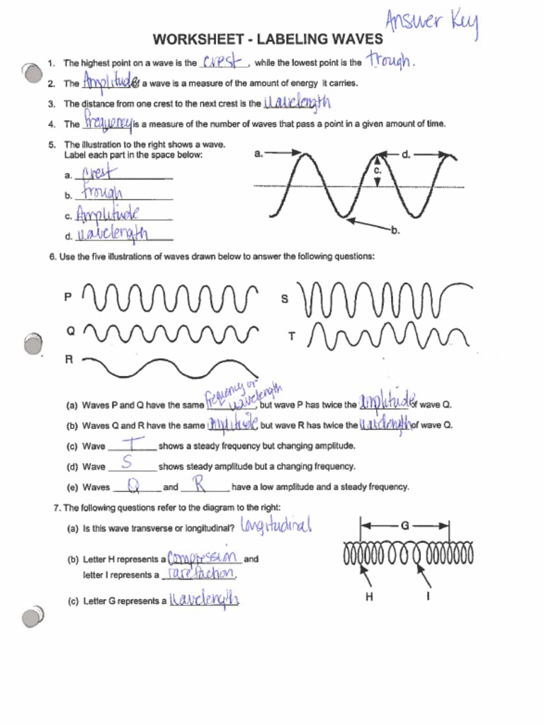 Worksheet Labeling Waves Answer Key