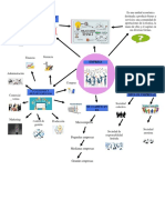 Fines de La Empresa: Funciones Y Departamentos