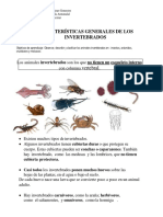 guas de invertebrados 2° año 2019.docx