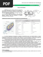 03 - Célula Bacteriana.pdf