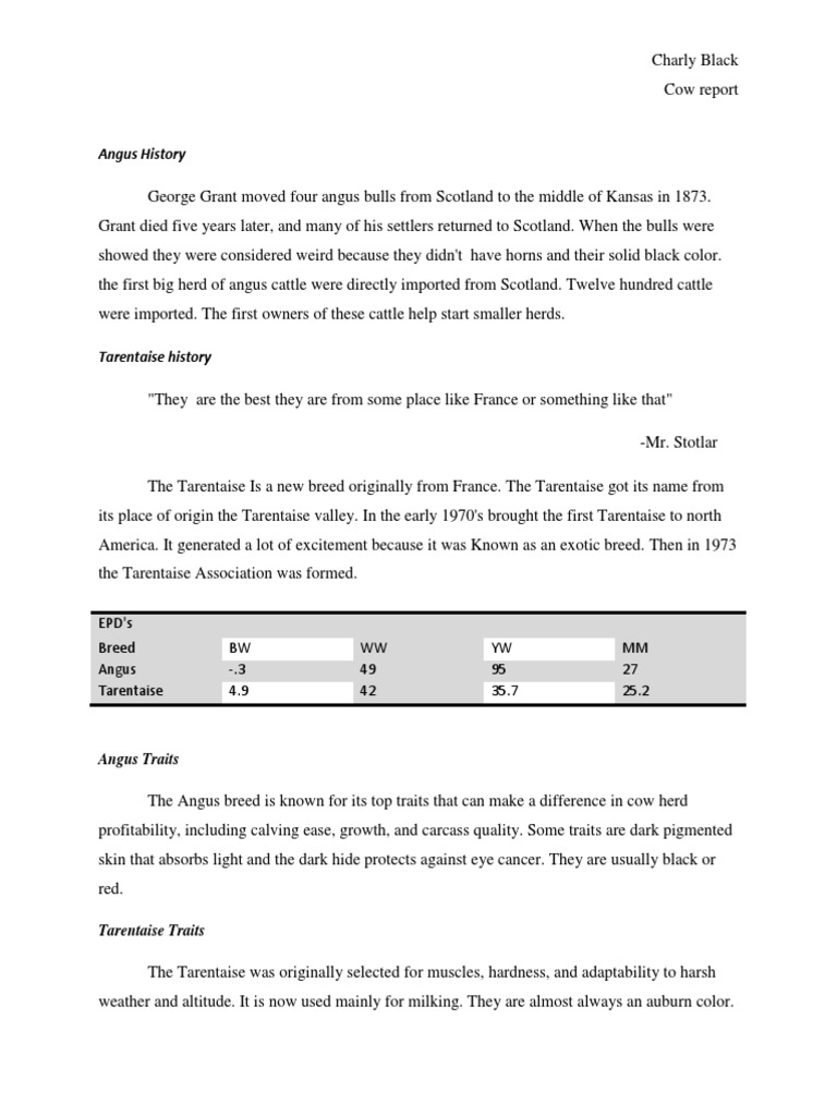 Cow Breed Report | PDF