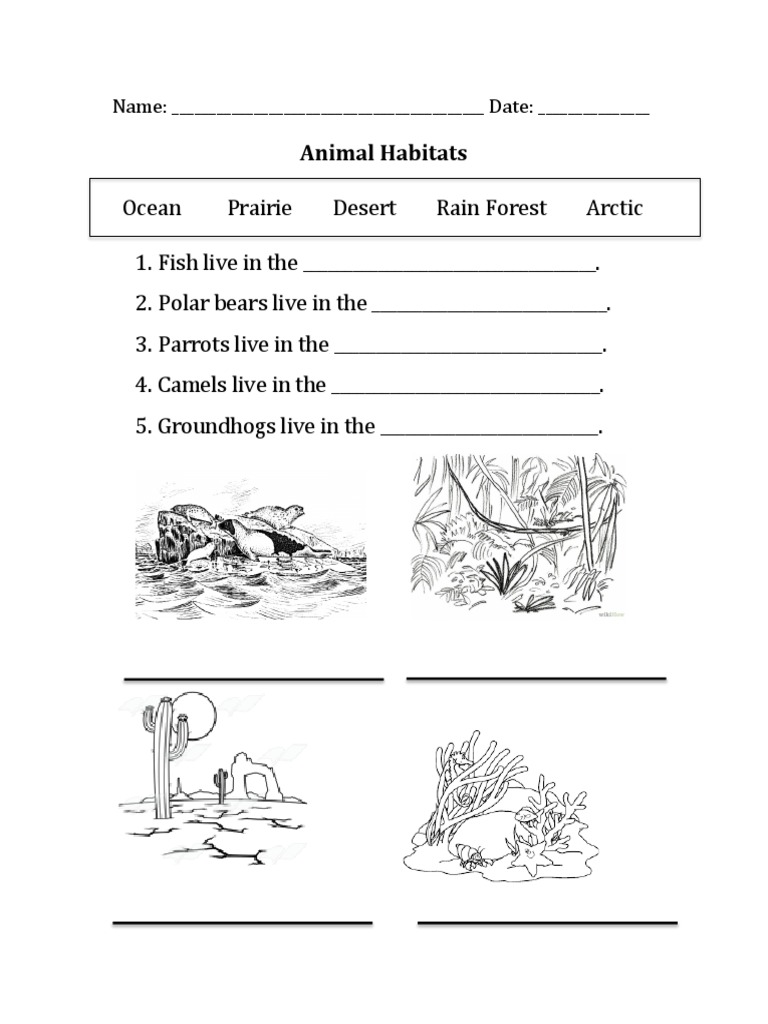 Animal Habitats Name Date PDF