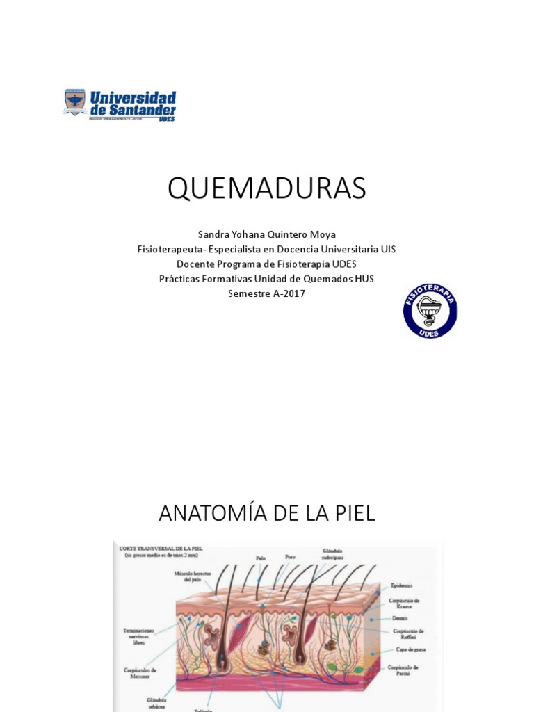 FISIOPATOLOGÍA DE LAS QUEMADURAS.pdf Cicatrización de la