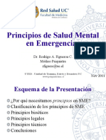 principios Salud mental en emergencias.pdf